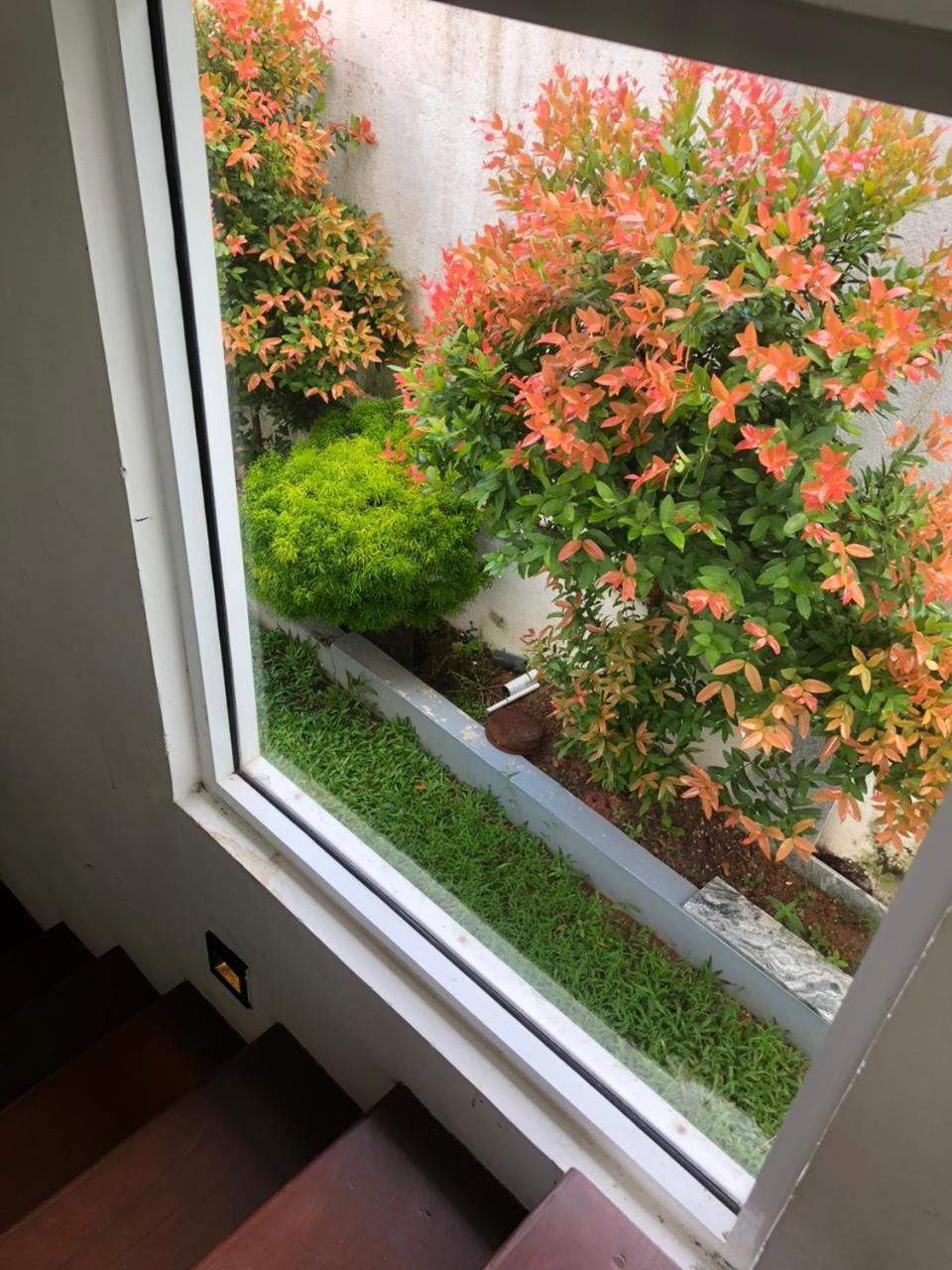 Vidushi Home Minuwangoda Exteriör bild